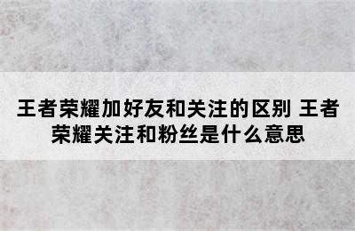 王者荣耀加好友和关注的区别 王者荣耀关注和粉丝是什么意思